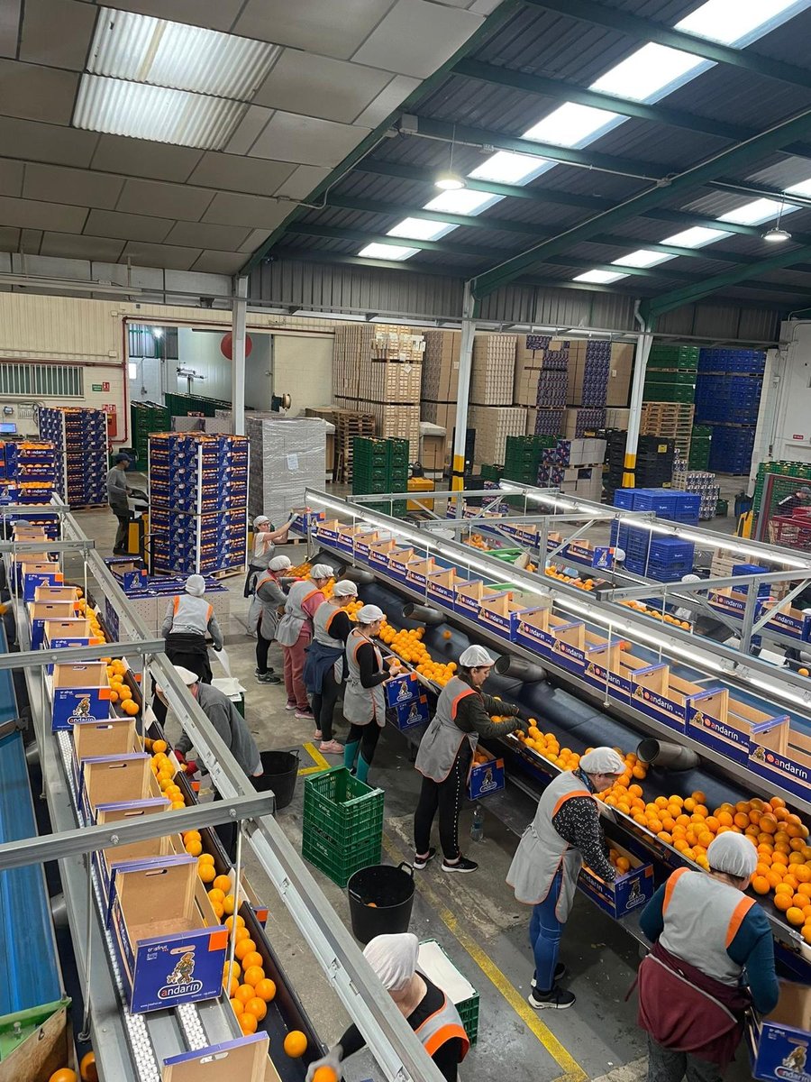 Instalaciones Tresfrut