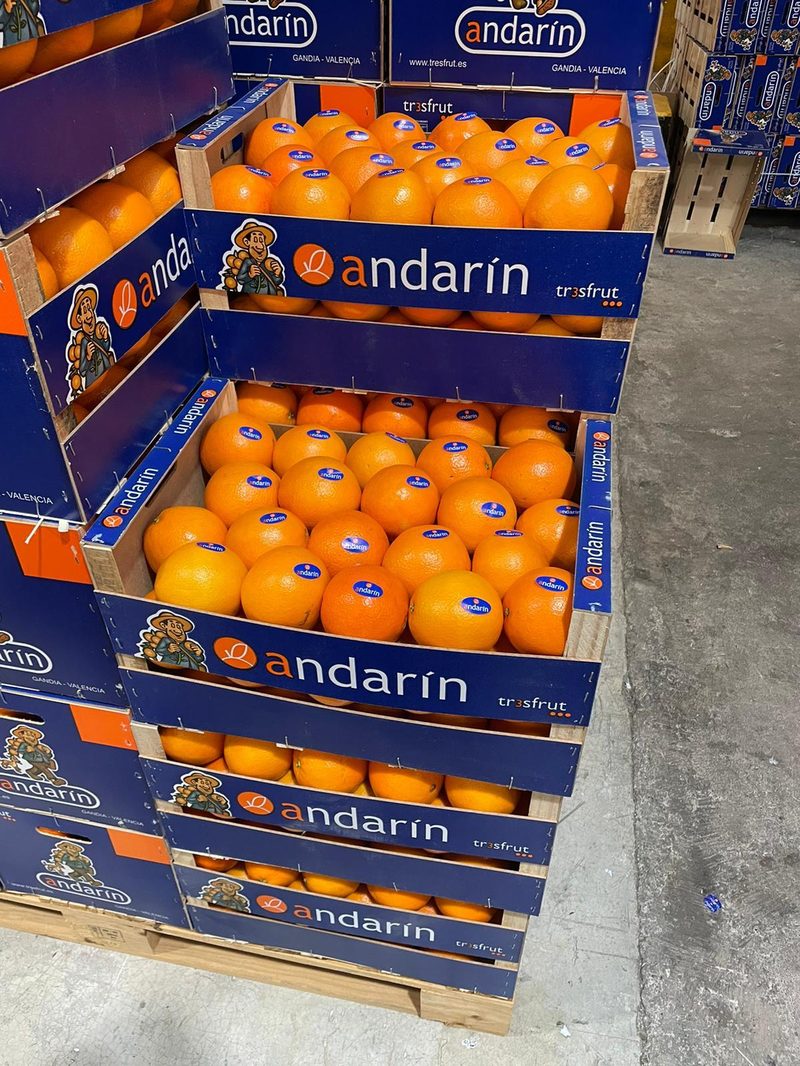 Expedición Andarín