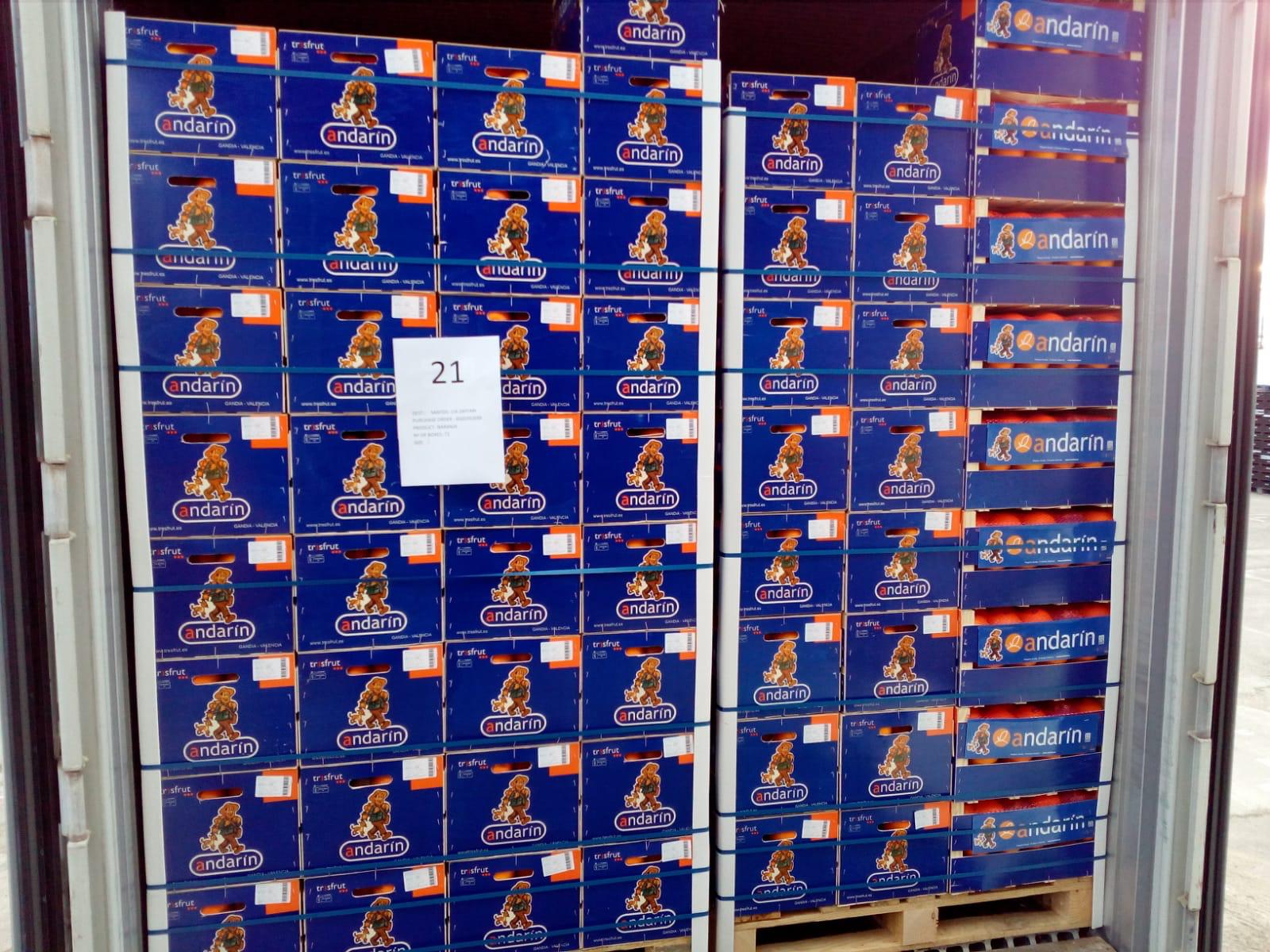 Cargamento Andarín en contenedor